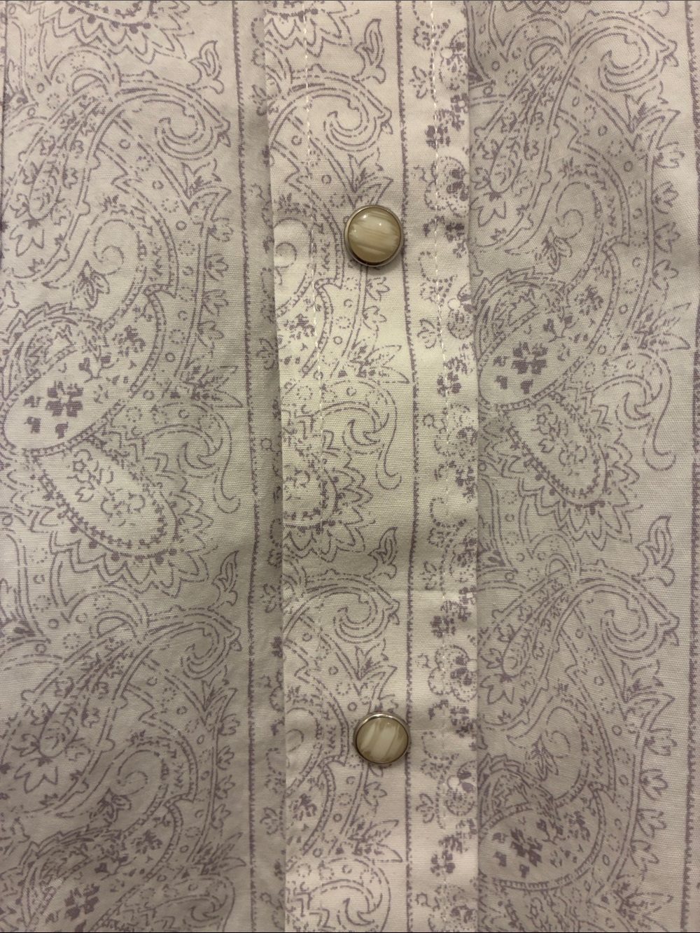 Panhandle Men's Cream Paisley Pearl Snap Western Shirt - Picture 3 of 7